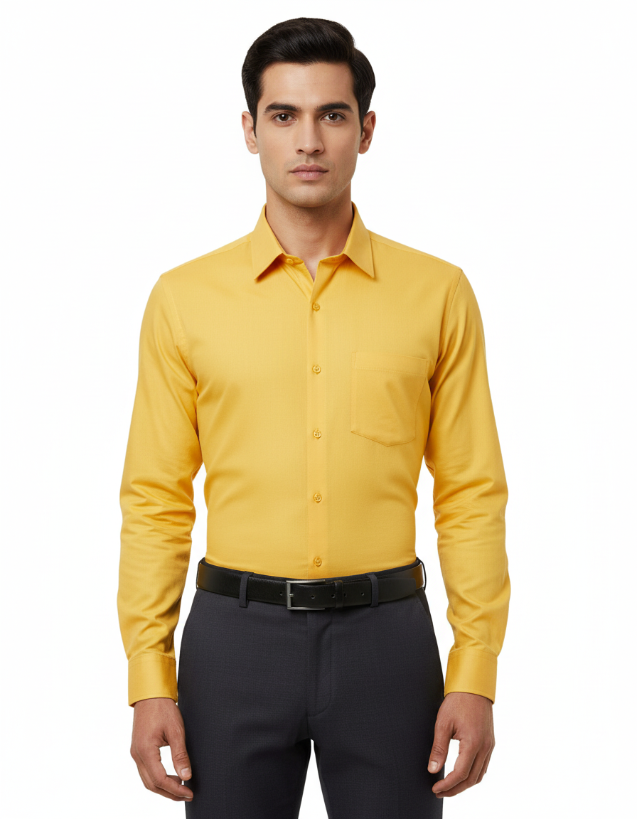 Men's Classic Regular Fit Cotton Formal Shirt